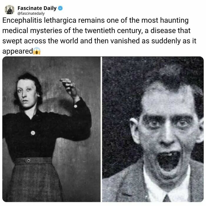 68 Mind-Blowing Facts That’ll Make You Go "Wait, What?!"