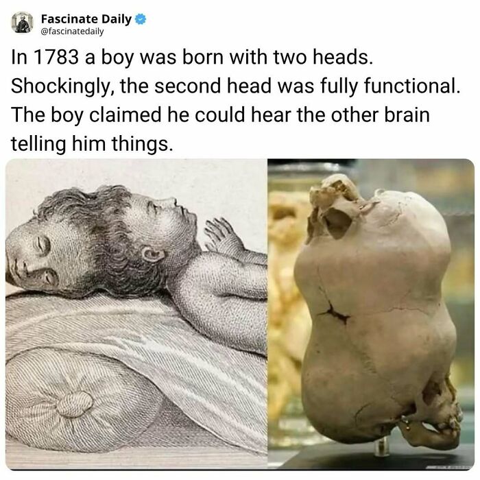 68 Mind-Blowing Facts That’ll Make You Go "Wait, What?!"
