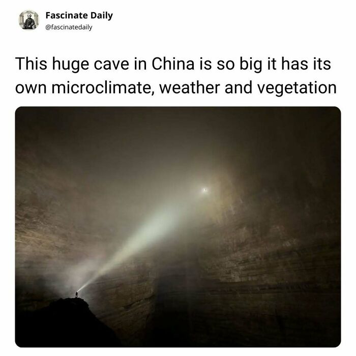 68 Mind-Blowing Facts That’ll Make You Go "Wait, What?!"