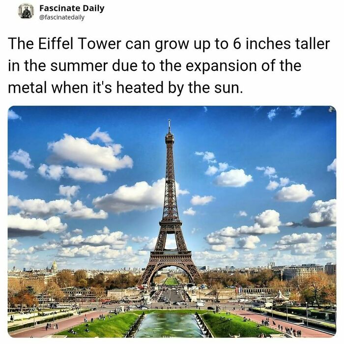 68 Mind-Blowing Facts That’ll Make You Go "Wait, What?!"