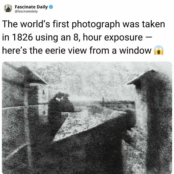 68 Mind-Blowing Facts That’ll Make You Go "Wait, What?!"
