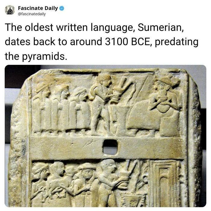 68 Mind-Blowing Facts That’ll Make You Go "Wait, What?!"
