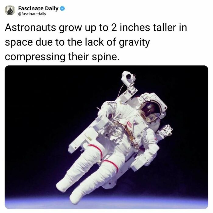 68 Mind-Blowing Facts That’ll Make You Go "Wait, What?!"