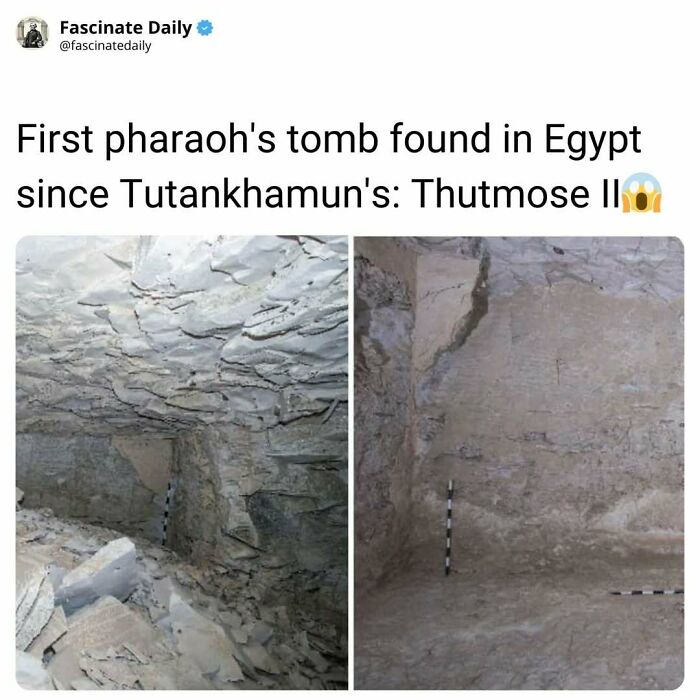 68 Mind-Blowing Facts That’ll Make You Go "Wait, What?!"