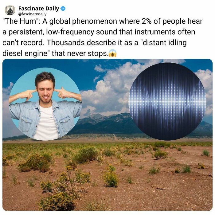 68 Mind-Blowing Facts That’ll Make You Go "Wait, What?!"