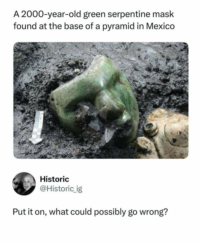 Wait, They Actually Ranked These Hilarious Memes?!