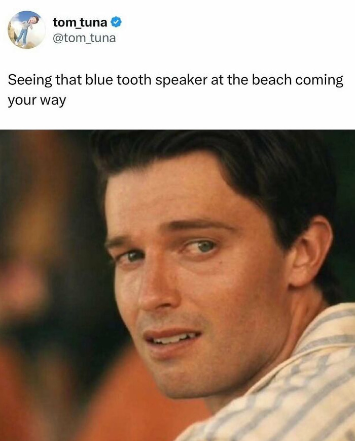 Wait, They Actually Ranked These Hilarious Memes?!