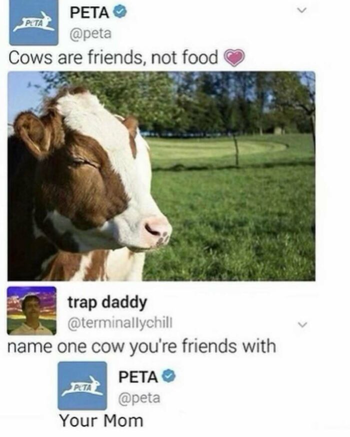 Wait, They Actually Ranked These Hilarious Memes?!