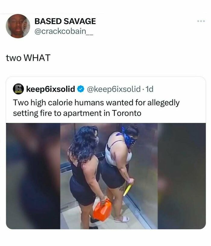 Wait, They Actually Ranked These Hilarious Memes?!