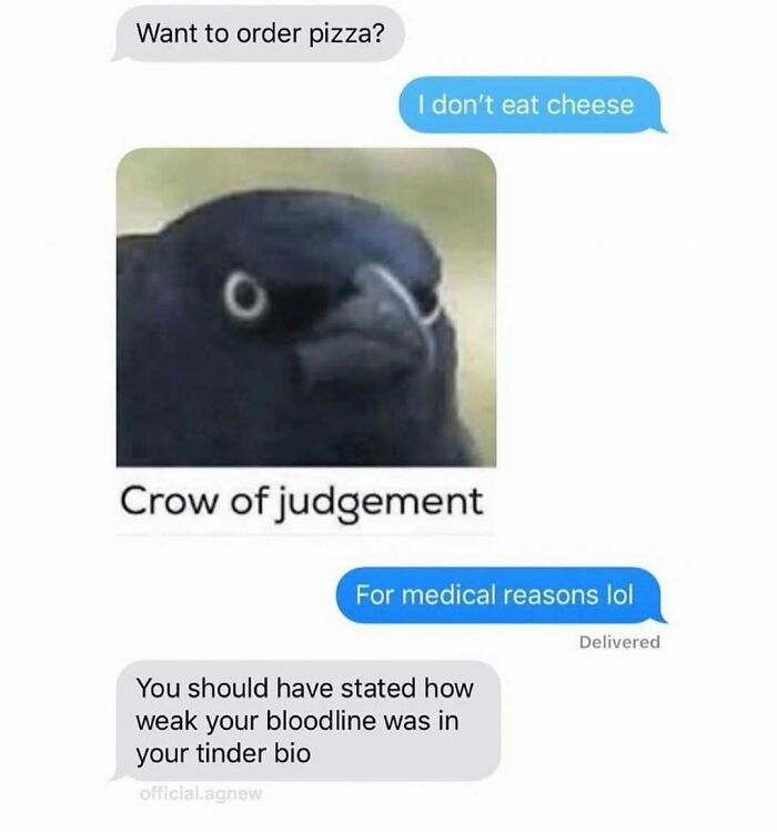 Wait, They Actually Ranked These Hilarious Memes?!