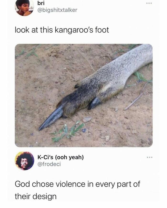 Wait, They Actually Ranked These Hilarious Memes?!