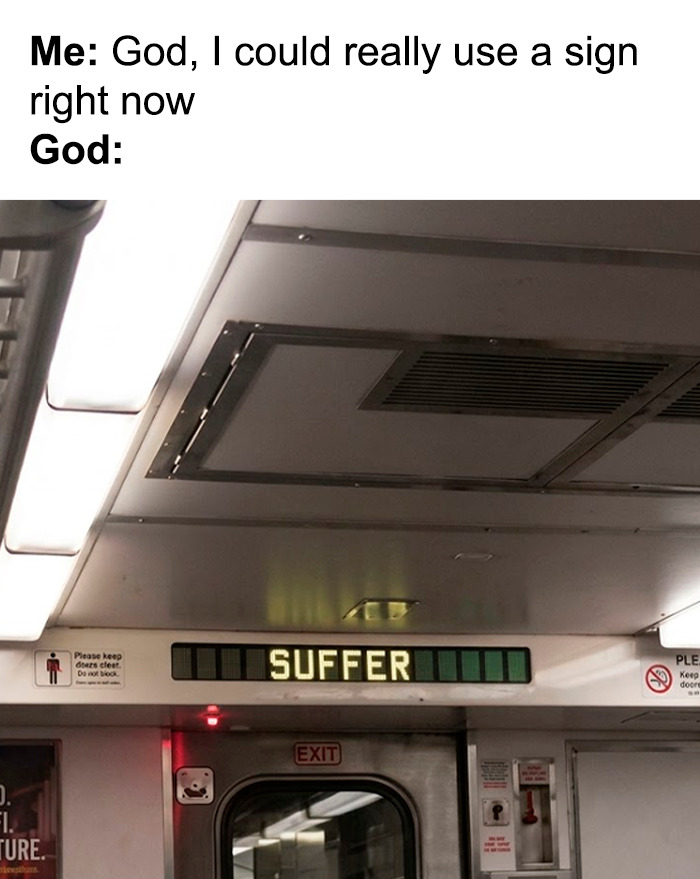 Wait, They Actually Ranked These Hilarious Memes?!