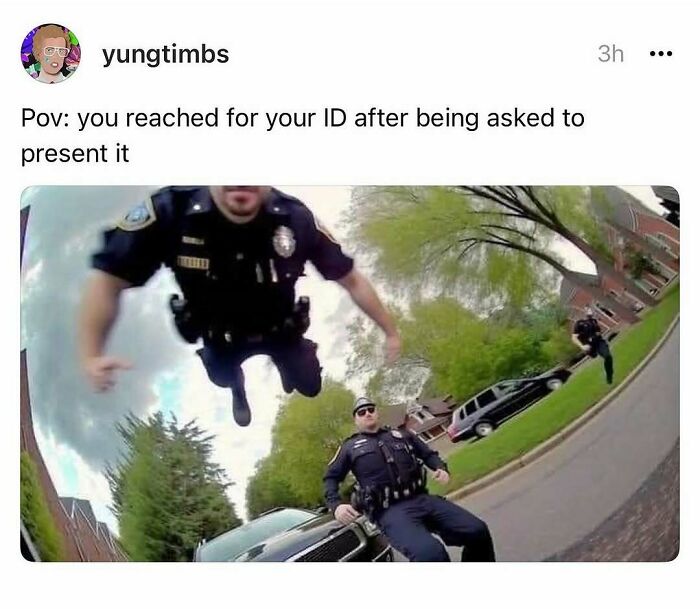 Wait, They Actually Ranked These Hilarious Memes?!