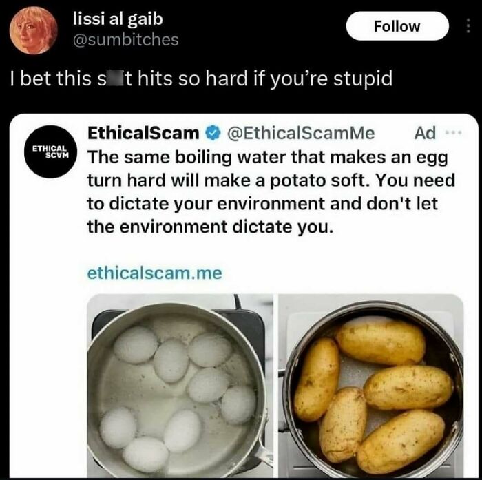 Wait, They Actually Ranked These Hilarious Memes?!