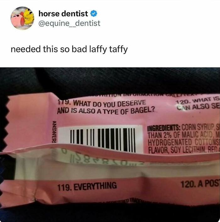 Wait, They Actually Ranked These Hilarious Memes?!