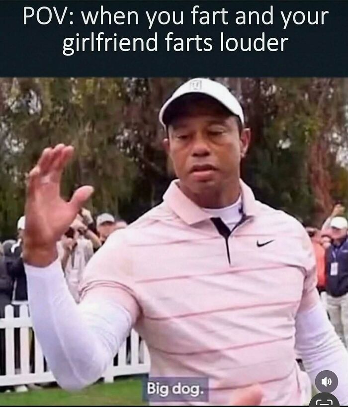 Wait, They Actually Ranked These Hilarious Memes?!