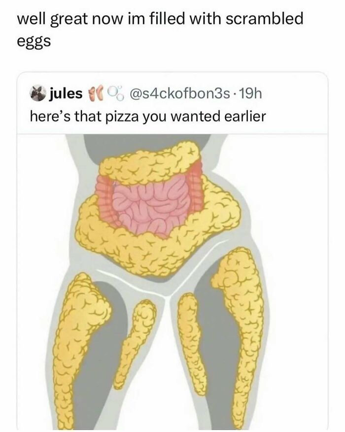 Wait, They Actually Ranked These Hilarious Memes?!