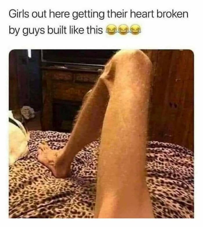 Wait, They Actually Ranked These Hilarious Memes?!
