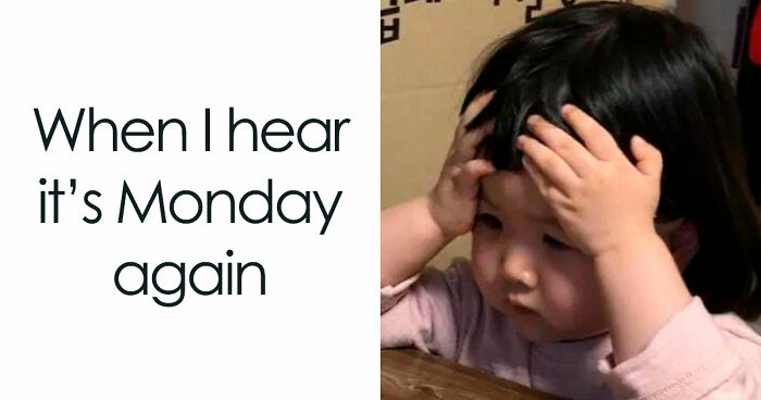 Let’s Laugh At Work: 36 Sarcastic Memes That Nail The Monday Blues