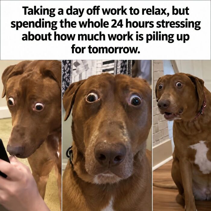 Let's Laugh At Work: 36 Sarcastic Memes That Nail The Monday Blues