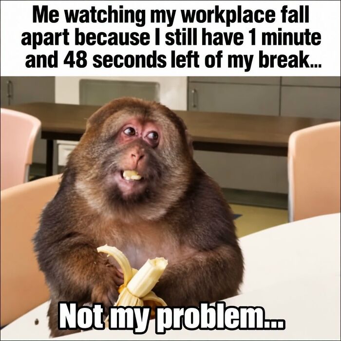 Let's Laugh At Work: 36 Sarcastic Memes That Nail The Monday Blues