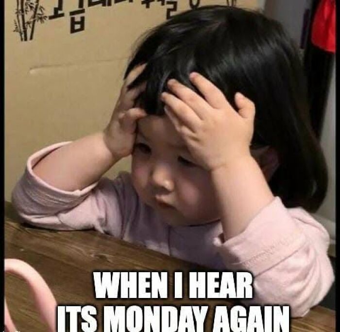 Let's Laugh At Work: 36 Sarcastic Memes That Nail The Monday Blues