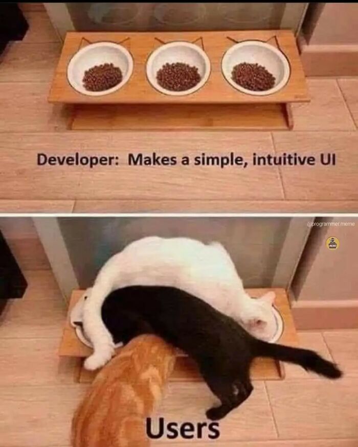 Wait, They Actually Ranked These Programmer Memes?!