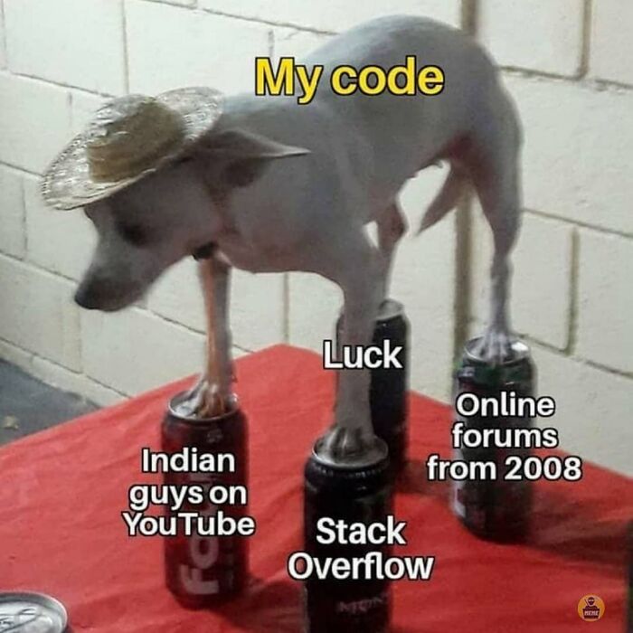 Wait, They Actually Ranked These Programmer Memes?!
