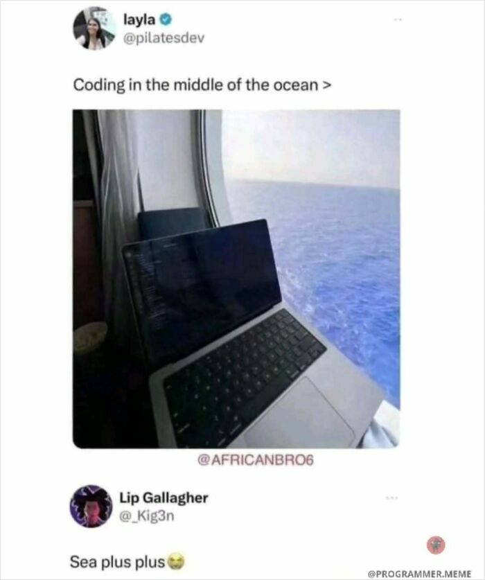 Wait, They Actually Ranked These Programmer Memes?!