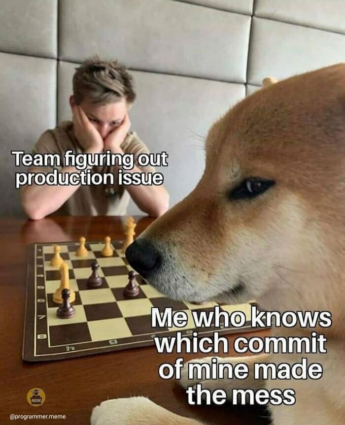 Wait, They Actually Ranked These Programmer Memes?!