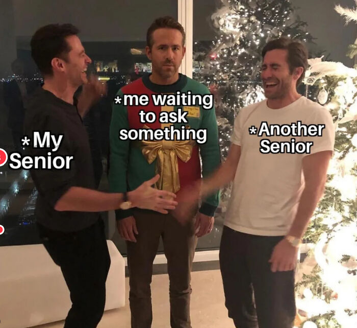 Wait, They Actually Ranked These Programmer Memes?!