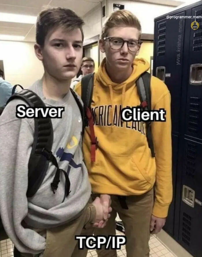 Wait, They Actually Ranked These Programmer Memes?!