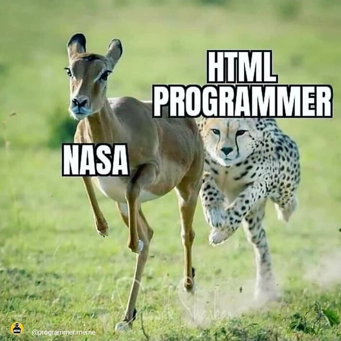 Wait, They Actually Ranked These Programmer Memes?!
