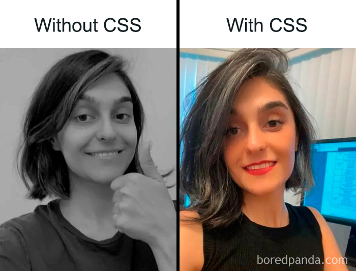 Wait, They Actually Ranked These Programmer Memes?!