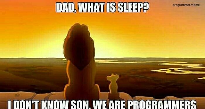 Wait, They Actually Ranked These Programmer Memes?!