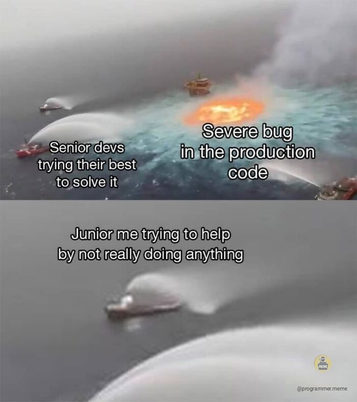 Wait, They Actually Ranked These Programmer Memes?!