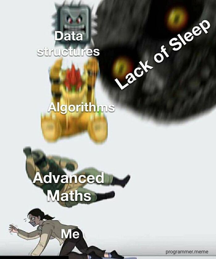 Wait, They Actually Ranked These Programmer Memes?!
