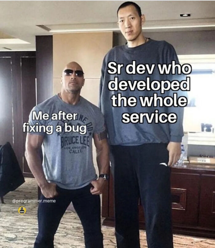 Wait, They Actually Ranked These Programmer Memes?!