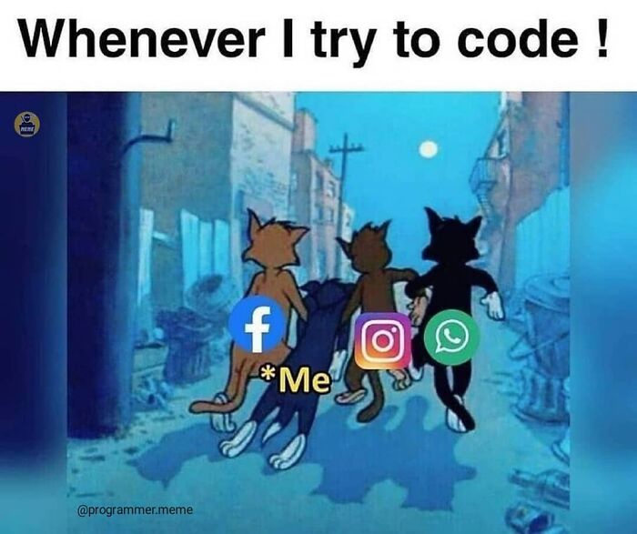 Wait, They Actually Ranked These Programmer Memes?!