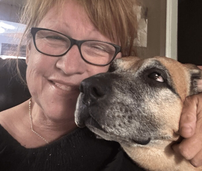 Rescue Dog vs. Bear: The Ultimate Backyard Showdown