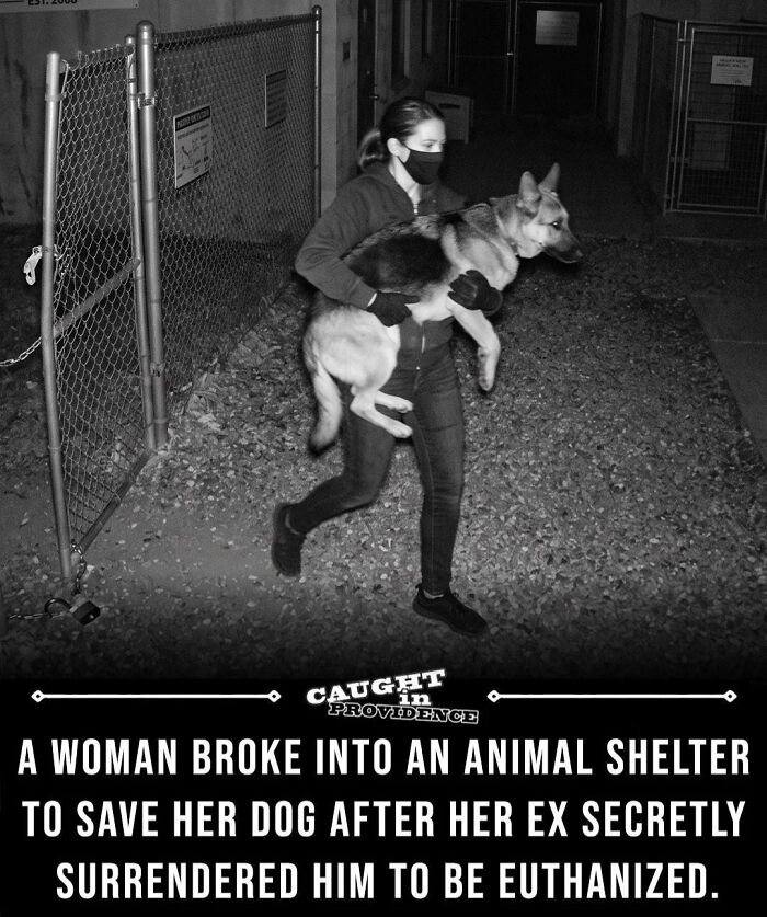 Is Breaking In to Save a Dog Going to the Pooch Afterlife Justified?