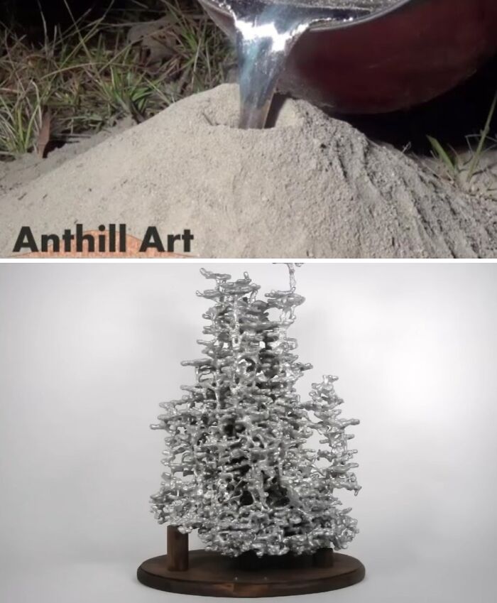 Pouring Molten Metal into an Anthill for Art: Genius or Monster Move?