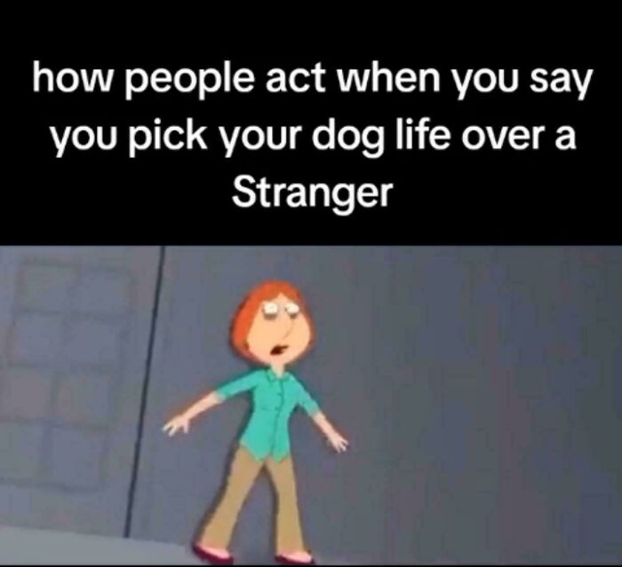 Saving Your Pet Over a Human Stranger? Tough Call!