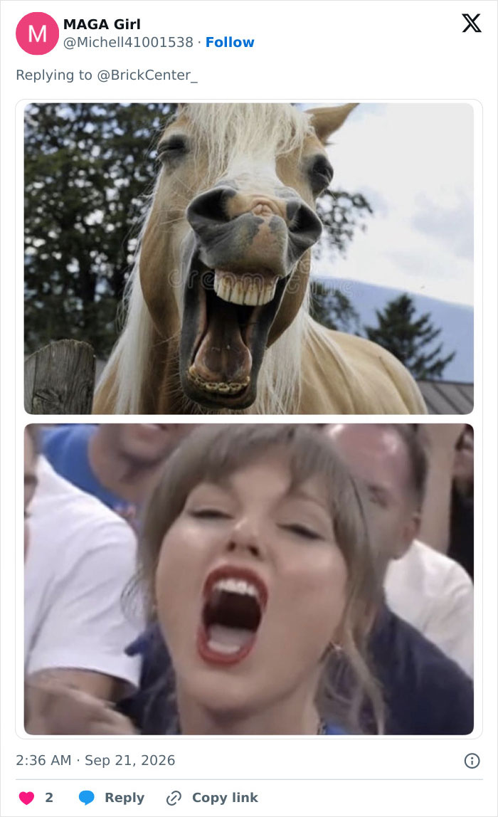 Taylor Swift’s Touchdown Celebration Turned into Meme Gold!