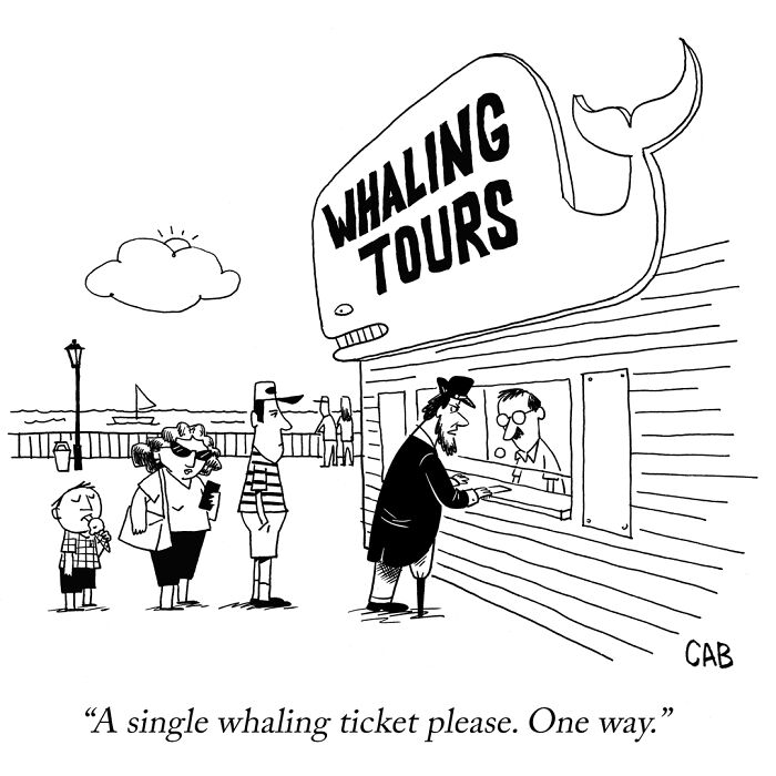 Wait, These Cartoons Are Hilariously Weird and We Love It!