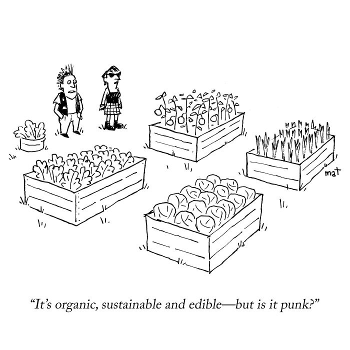 Wait, These Cartoons Are Hilariously Weird and We Love It!
