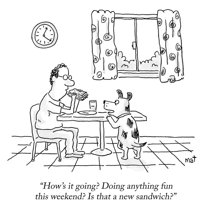 Wait, These Cartoons Are Hilariously Weird and We Love It!