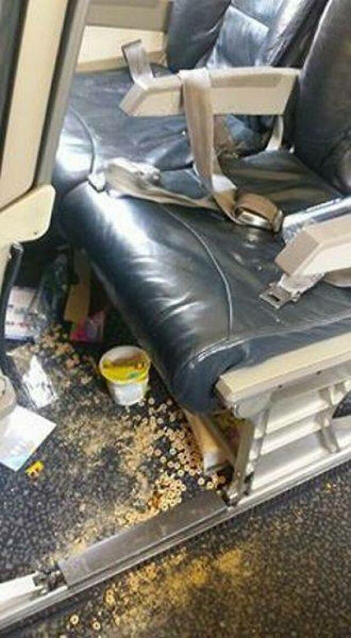 Guess Who Left a Mess Here?