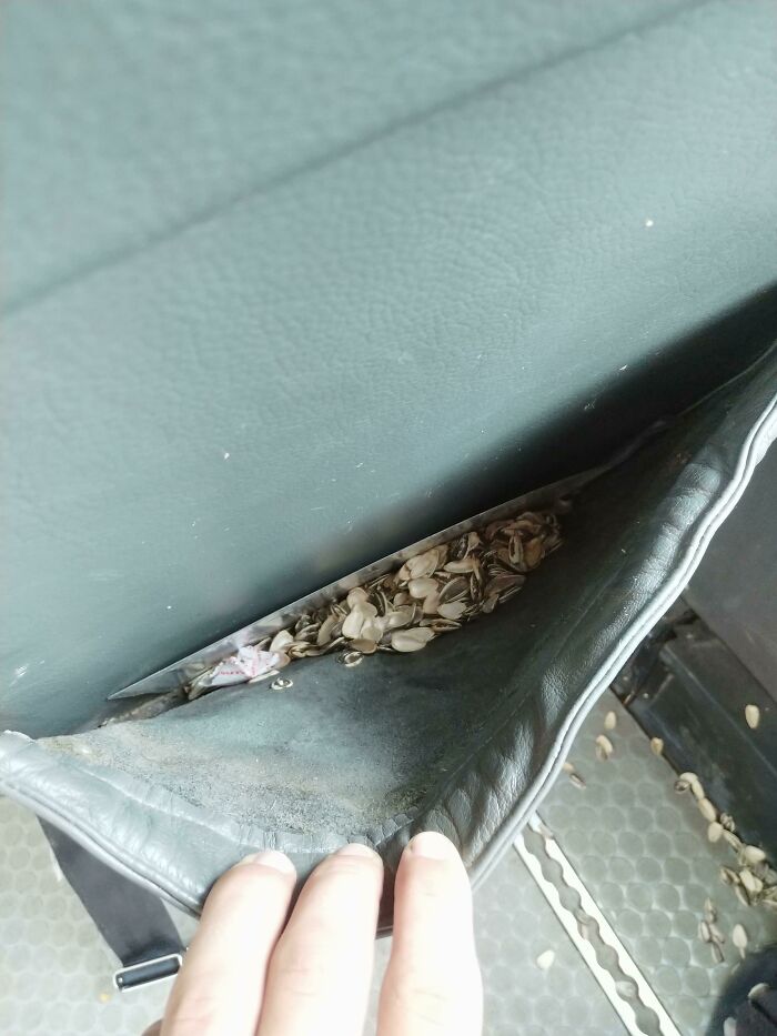Seat Pocket: The New Sunflower Seed Spam Zone