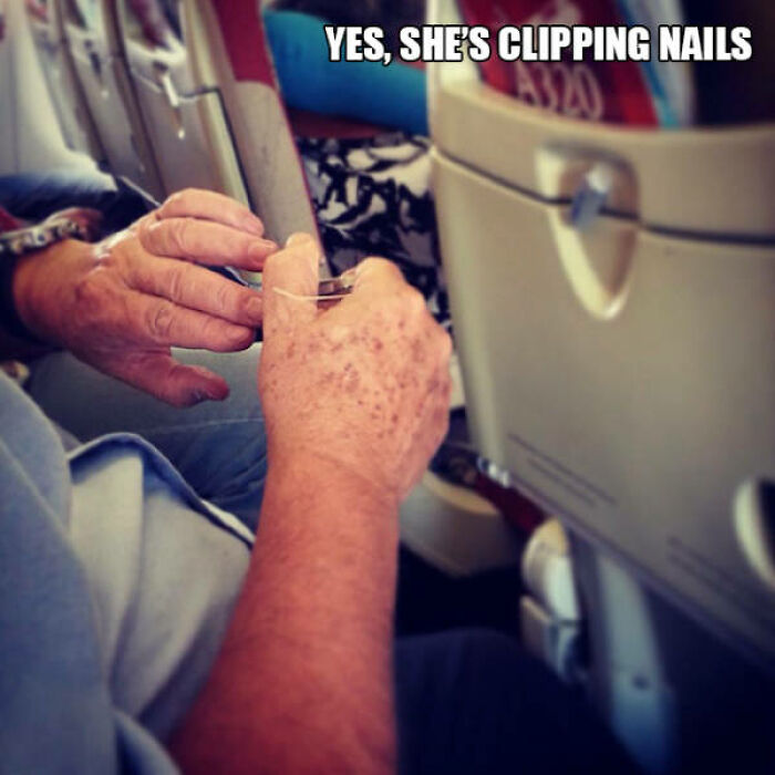 Totally Wild Airplane Moments
